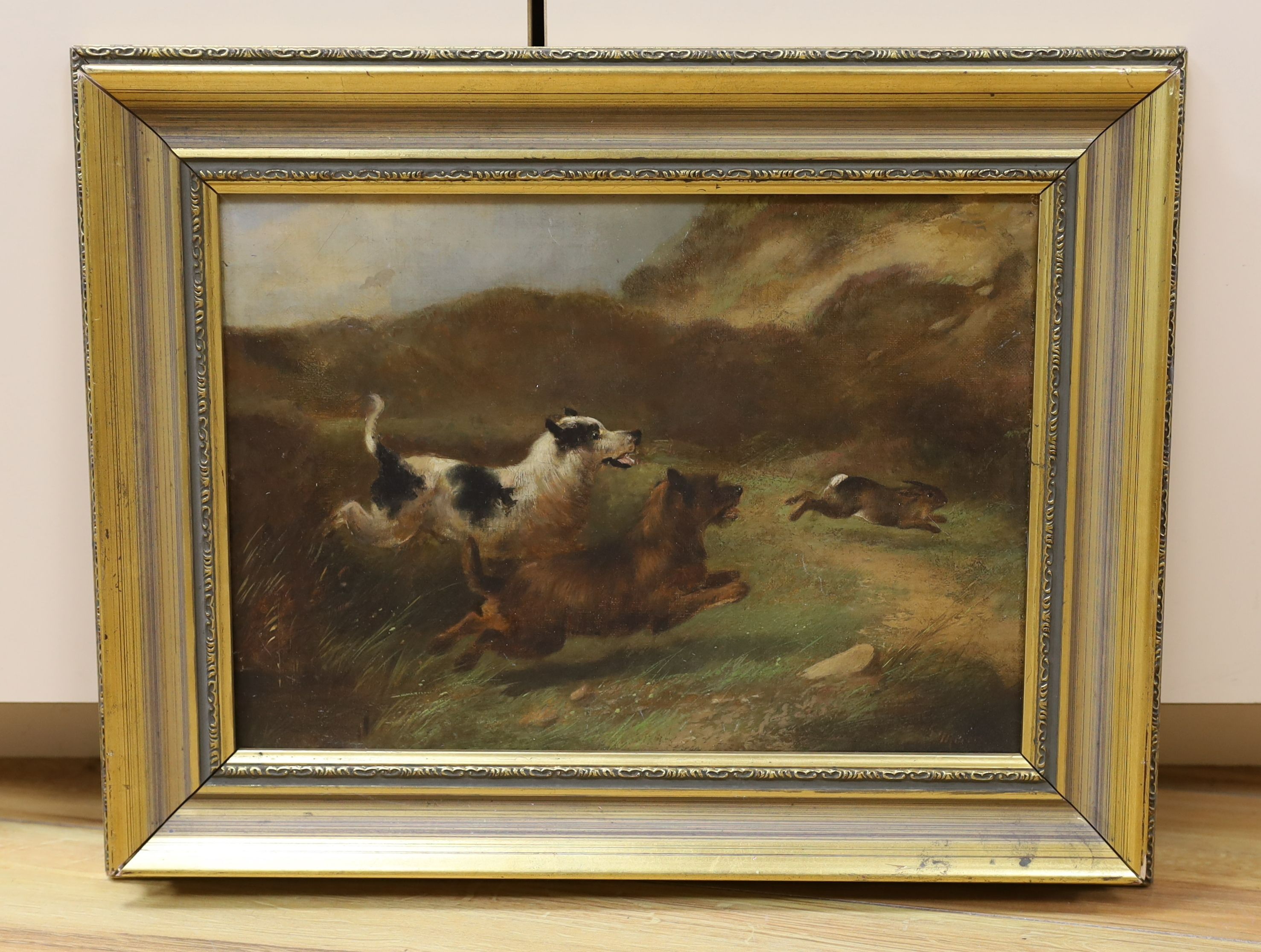 Charles Morris (19th century), oil on canvas, Terriers chasing a rabbit, signed, 24 x 34cm